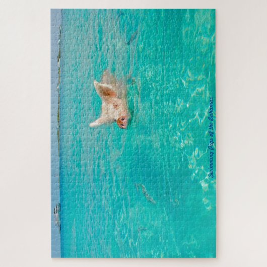 Ein Schwein schwimmt auf den Bahamas. Jigsaw Puzzl Puzzle (Vertikal)