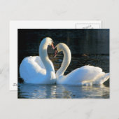 Ein Schweizer Herzkuss, Spiegelungen der Liebe Postkarte (Vorne/Hinten)