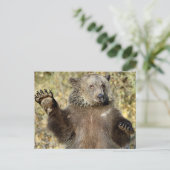 Ein schwellender Grizzlybär Postkarte (Stehend Vorderseite)
