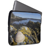 Ein Seashell sitzt auf einem Felsen | Dumfries, Laptopschutzhülle (Vorne Rechts)