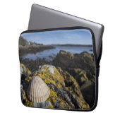 Ein Seashell sitzt auf einem Felsen | Dumfries, Laptopschutzhülle (Vorderseite Links)