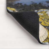 Ein Seashell sitzt auf einem Felsen | Dumfries, Mousepad (Ecke)