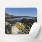 Ein Seashell sitzt auf einem Felsen | Dumfries, Mousepad (Mit Mouse)