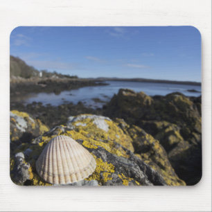 Ein Seashell sitzt auf einem Felsen Dumfries, Mousepad