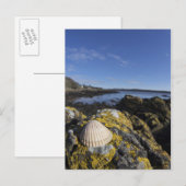 Ein Seashell sitzt auf einem Felsen | Dumfries, Postkarte (Vorne/Hinten)