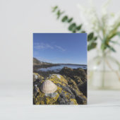 Ein Seashell sitzt auf einem Felsen | Dumfries, Postkarte (Stehend Vorderseite)