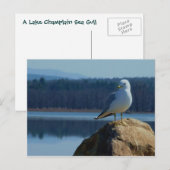 Ein See Champlain Sea Gull Postkarte (Vorne/Hinten)