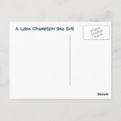 Ein See Champlain Sea Gull Postkarte (Rückseite)