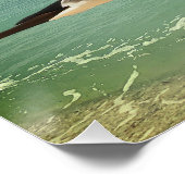 Ein Seeadler Poster (Ecke)