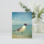Ein Seeadler Postkarte (Stehend Vorderseite)