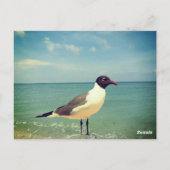 Ein Seeadler Postkarte (Rückseite)