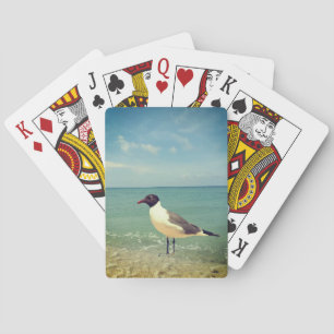 Ein Seeadler Spielkarten