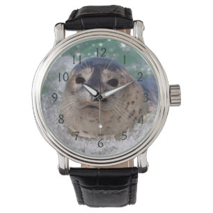 Ein Seehundbaby surft Armbanduhr