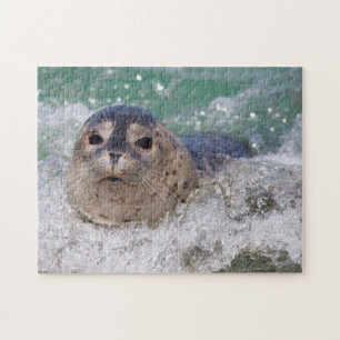 Ein Seehundbaby surft Puzzle