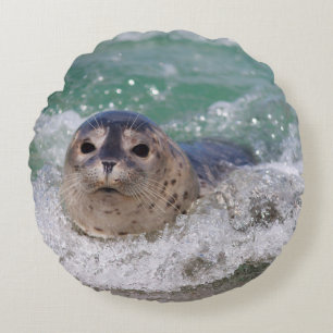 Ein Seehundbaby surft Rundes Kissen