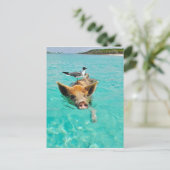 Ein Seemann und ein Schwein Postkarte (Stehend Vorderseite)