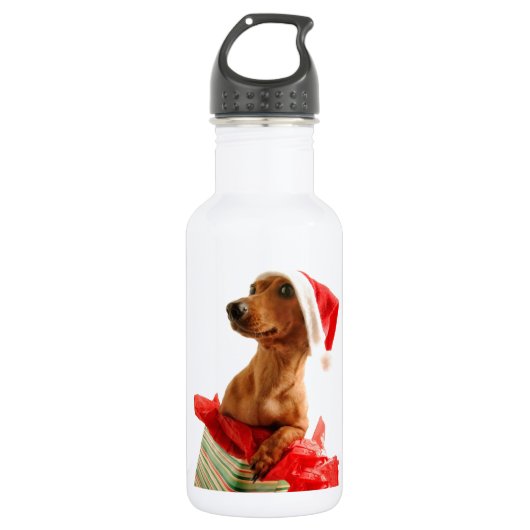 Ein sehr Dackel-Weihnachten Trinkflasche (Vorderseite)