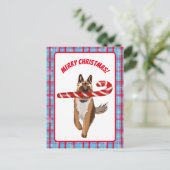 Ein sehr deutscher Schäferhund Candy Cane Weihnach Postkarte (Stehend Vorderseite)