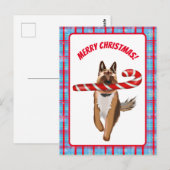 Ein sehr deutscher Schäferhund Candy Cane Weihnach Postkarte (Vorne/Hinten)