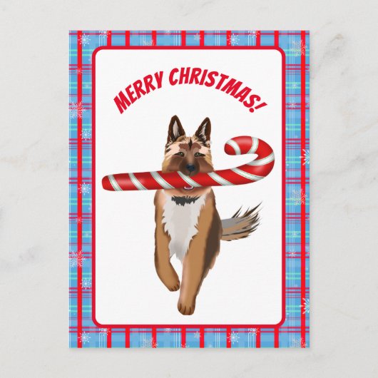 Ein sehr deutscher Schäferhund Candy Cane Weihnach Postkarte (Vorderseite)