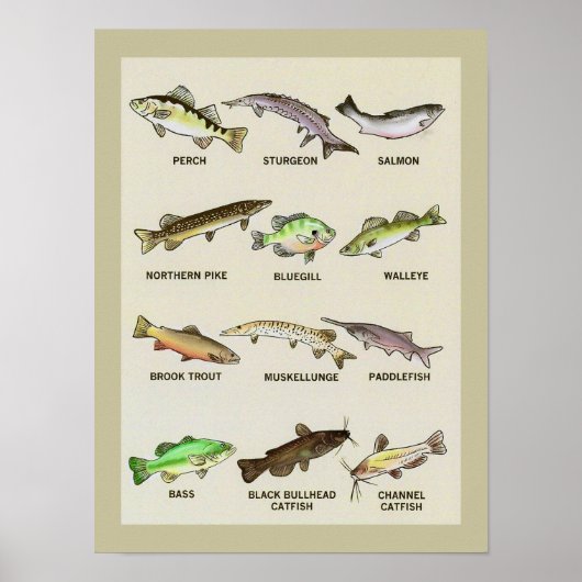 Ein sehr fischiger Druck Poster (Vorne)