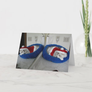 Ein sehr knuspriger Weihnachten