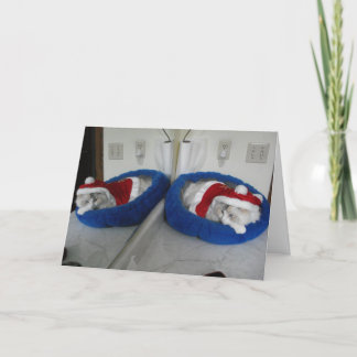 Ein sehr knuspriger Weihnachten