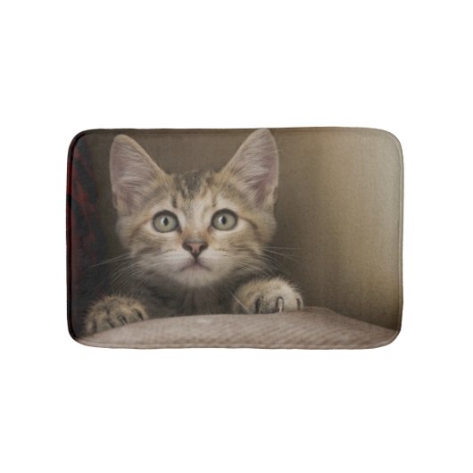 Ein sehr süßes Tabby-Kätzchen Badematte (Vorderseite)