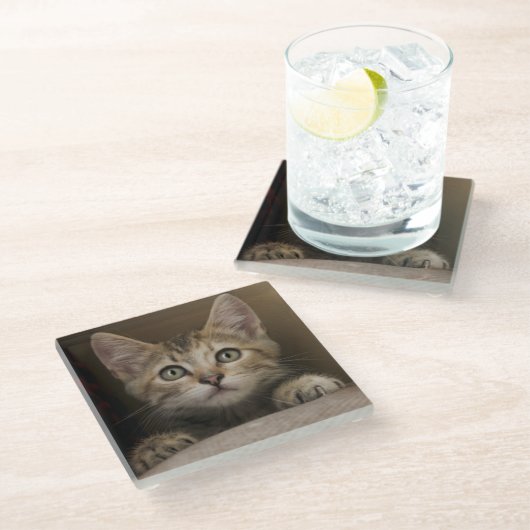 Ein sehr süßes Tabby-Kätzchen Glasuntersetzer (Schrägansicht)