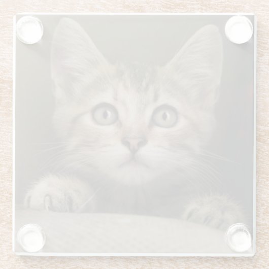 Ein sehr süßes Tabby-Kätzchen Glasuntersetzer (Rückseite)