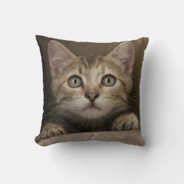 Ein sehr süßes Tabby-Kätzchen Kissen