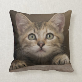 Ein sehr süßes Tabby-Kätzchen Kissen
