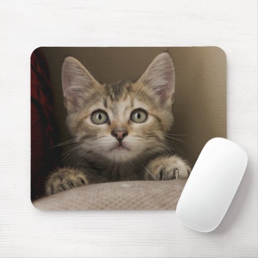 Ein sehr süßes Tabby-Kätzchen Mousepad (Mit Mouse)