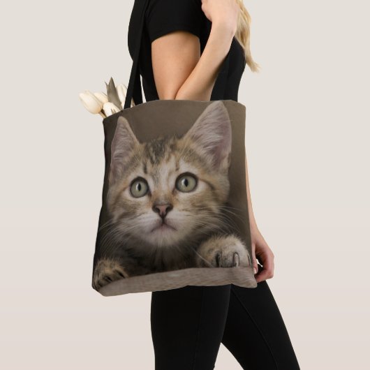 Ein sehr süßes Tabby-Kätzchen Tasche (Von Nahem)