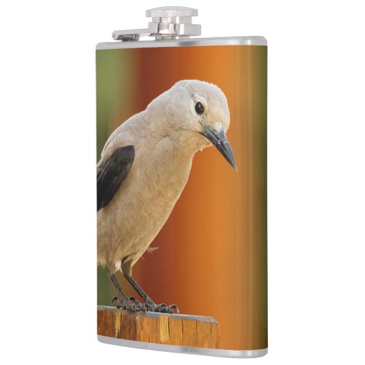 Ein seltsamer Riesenknacker Flachmann (Links)