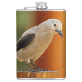 Ein seltsamer Riesenknacker Flachmann