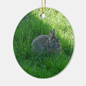 Ein Shady Bunny Keramikornament (Links)