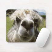Ein Shaggy Alpaka Mousepad (Mit Mouse)