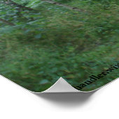 Ein Sherwood-Waldweg Poster (Ecke)