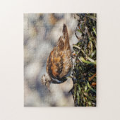 Ein Showroom von Ruddy Turnstone Shorebird Puzzle (Vertikal)