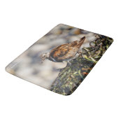 Ein Showstop Ruddy Turnstone Badematte (Schrägansicht)