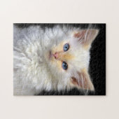 Ein siamesisches Sahnekätzchen mit roten Punkten Puzzle (Horizontal)