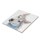 Ein sibirischer Husky-Mix kippt seinen Kopf Fliese (Seite)