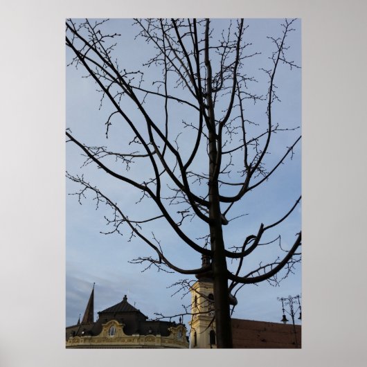 ein sich bewegender Baum Poster (Vorne)