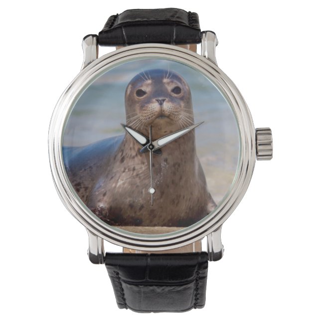 Ein Siegel am Strand entlang der Pazifikküste Armbanduhr (Vorderseite)