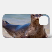 Ein Siegel am Strand entlang der Pazifikküste Case-Mate iPhone Hülle (Rückseite (Horizontal))