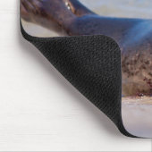 Ein Siegel am Strand entlang der Pazifikküste Mousepad (Ecke)