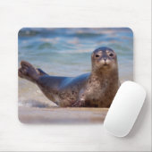 Ein Siegel am Strand entlang der Pazifikküste Mousepad (Mit Mouse)