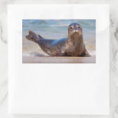 Ein Siegel am Strand entlang der Pazifikküste Rechteckiger Aufkleber (Tasche)