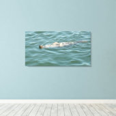 Ein Siegel schwimmt und sonnig Leinwanddruck (Insitu (Holzboden))